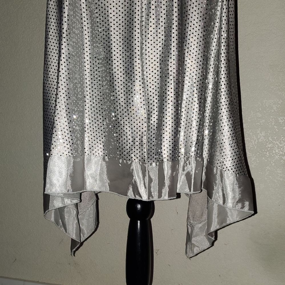 Appropriate Behavior Silver/Grey Sequin Dress Siz… - image 6